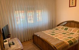 Apartament 2 camere, 50 mp, balcon, Ampoi 3