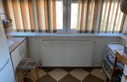 Apartament 2 camere, 50 mp, balcon, Ampoi 3