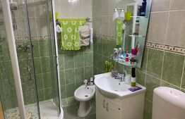 Apartament 2 camere, 50 mp, balcon, Ampoi 3