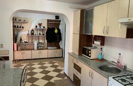 Apartament 2 camere, 50 mp, balcon, Ampoi 3