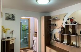 Apartament 2 camere, 50 mp, balcon, Ampoi 3