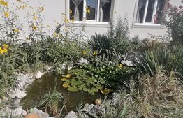 Casa 124 mp 5 camere 1 bucatarie 2 bai Zona Limba