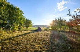 Casă individuală, 7 camere, teren 1525 mp, zona Vinerea - Cugir