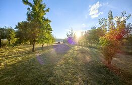 Casă individuală, 7 camere, teren 1525 mp, zona Vinerea - Cugir