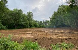 Teren extravilan, 1100 mp, zona Râmet - Alba