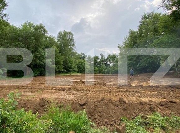 Teren de vânzare Teius - 126774TV | BLITZ Alba Iulia | Poza4