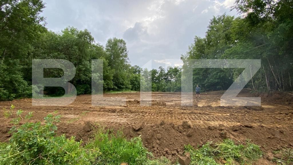 Teren de vânzare Teius - 126774TV | BLITZ Alba Iulia | Poza4