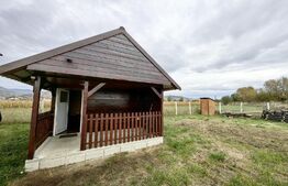 Casa individuala 150mp, 1032mp teren,  Vintu de Jos