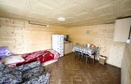 Casa individuala 150mp, 1032mp teren,  Vintu de Jos