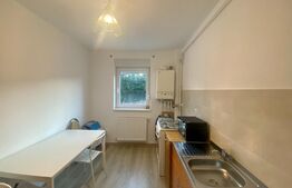 Apartament 2 camere, bloc nou, Cetate-Kaufland