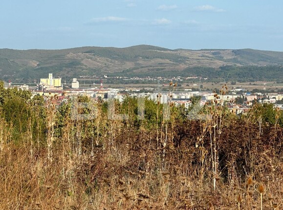 Teren de vânzare Cetate - 127329TV | BLITZ Alba Iulia | Poza1