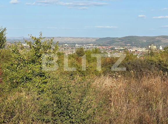 Teren de vânzare Cetate - 127333TV | BLITZ Alba Iulia | Poza1