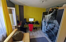 Apartament 2 camere, 56 mp, decomandat, zona Cetate