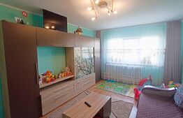 Apartament cu 2 camere, 50 mp, balcon, Ampoi 3