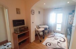 Apartament cu 2 camere, 50 mp, balcon, Ampoi 3