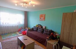 Apartament cu 2 camere, 50 mp, balcon, Ampoi 3