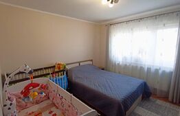 Apartament cu 2 camere, 50 mp, balcon, Ampoi 3
