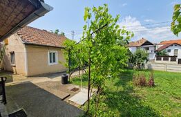 2 case, 3 camere, 700 mp, teren,  zona Cetate - Dealul Furcilor