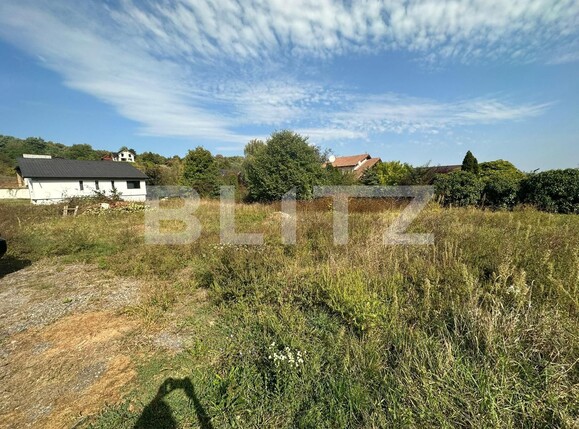 Teren de vânzare Cetate - 128111TV | BLITZ Alba Iulia | Poza1