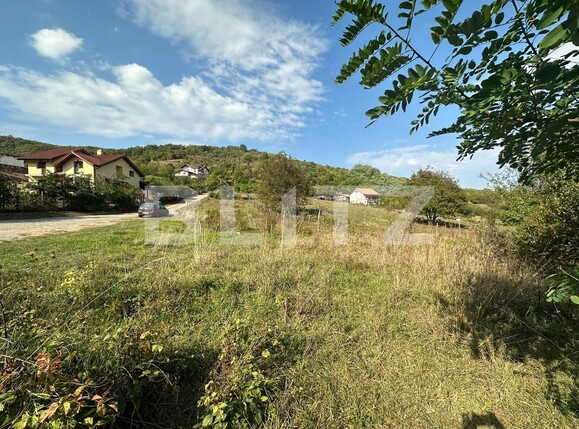 Teren de vânzare Cetate - 128114TV | BLITZ Alba Iulia | Poza1