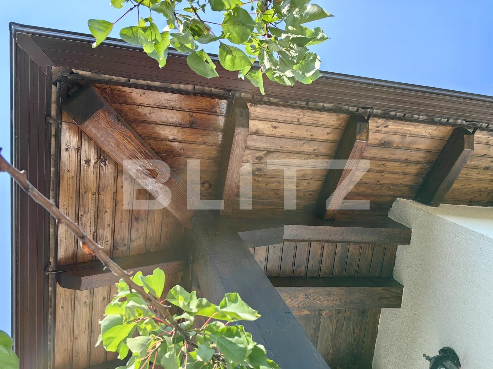 Casa de vânzare 4 camere Cetate - 128192CV | BLITZ Alba Iulia | Poza13