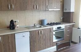 Apartament 2 camere, 56 mp, zona Cetate, 56 mp utili