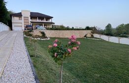 Casă cu 6 camere, 3000 mp teren, zona Teleac - Ciugud