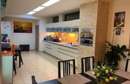 Casă cu 6 camere, 3000 mp teren, zona Teleac - Ciugud