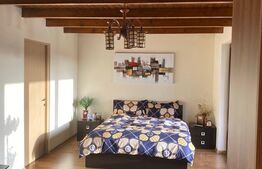 Casă cu 6 camere, 3000 mp teren, zona Teleac - Ciugud