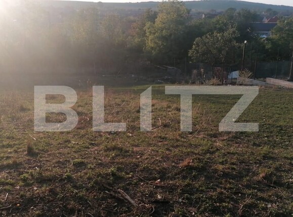 Casa de vânzare 5 camere Exterior Sud - 128678CV | BLITZ Alba Iulia | Poza11