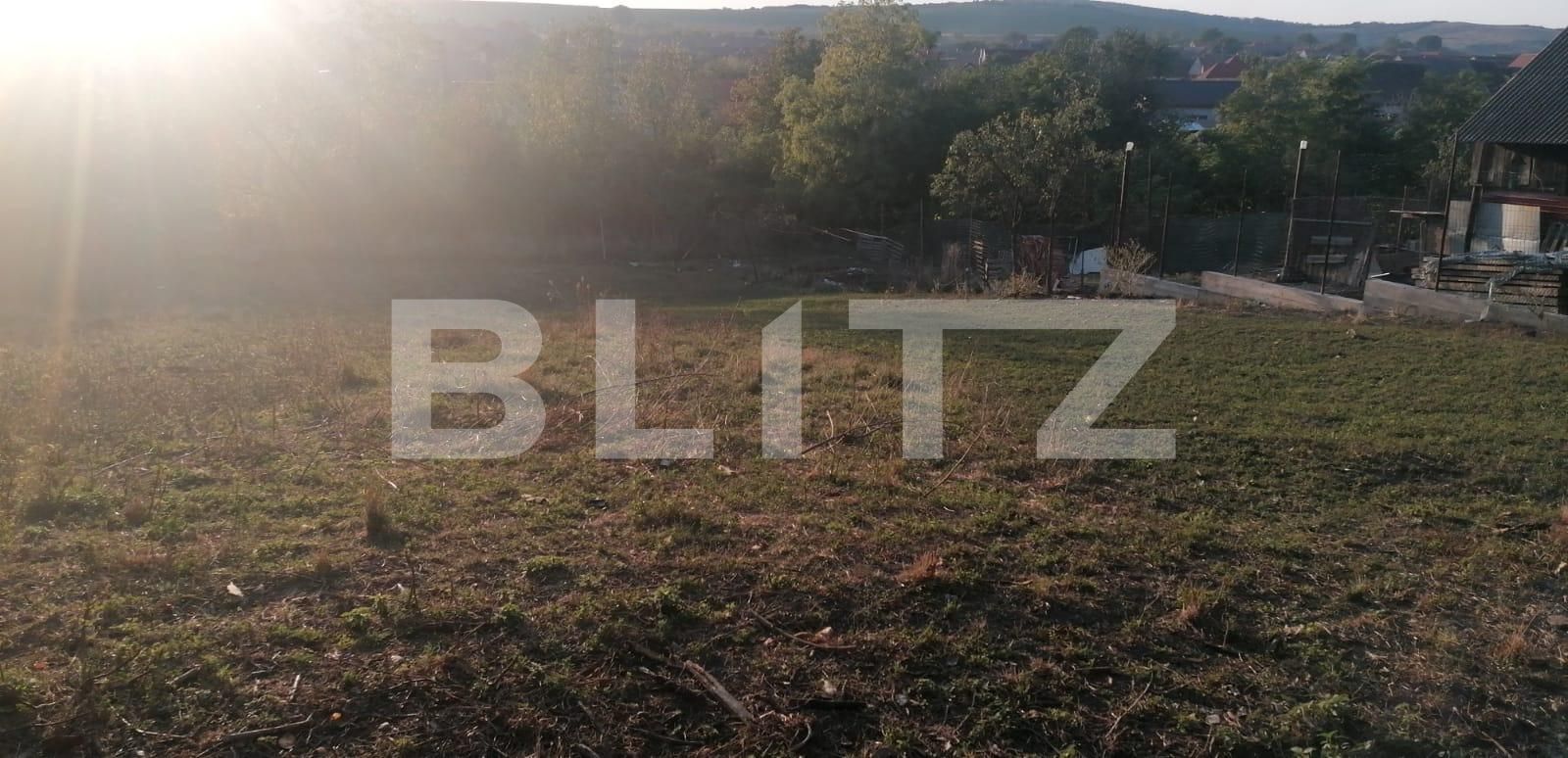 Casa de vânzare 5 camere Exterior Sud - 128678CV | BLITZ Alba Iulia | Poza11