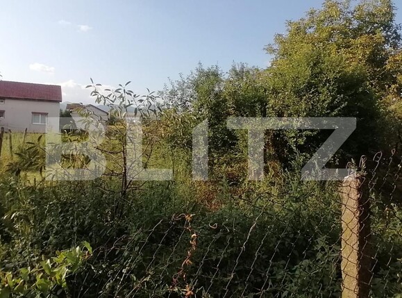 Casa de vânzare 3 camere Sard - 128726CV | BLITZ Alba Iulia | Poza2