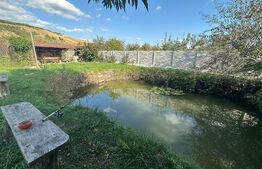 Teren intravilan, 1970mp, zona Sard