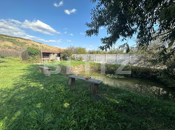 Teren de vânzare Sard - 129196TV | BLITZ Alba Iulia | Poza3