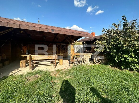 Teren de vânzare Sard - 129196TV | BLITZ Alba Iulia | Poza4