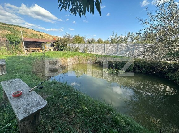 Teren de vânzare Sard - 129196TV | BLITZ Alba Iulia | Poza1