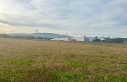 Teren intravilan, 11000mp, zona Carolina Mall