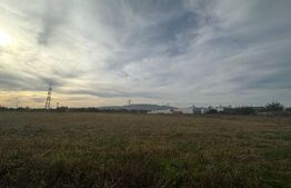 Teren intravilan, 11000mp, zona Carolina Mall