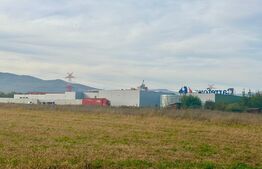 Teren intravilan, 11000mp, zona Carolina Mall