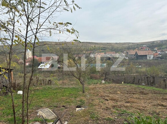 Casa de vânzare 4 camere  Exterior Est - 129883CV | BLITZ Alba Iulia | Poza5