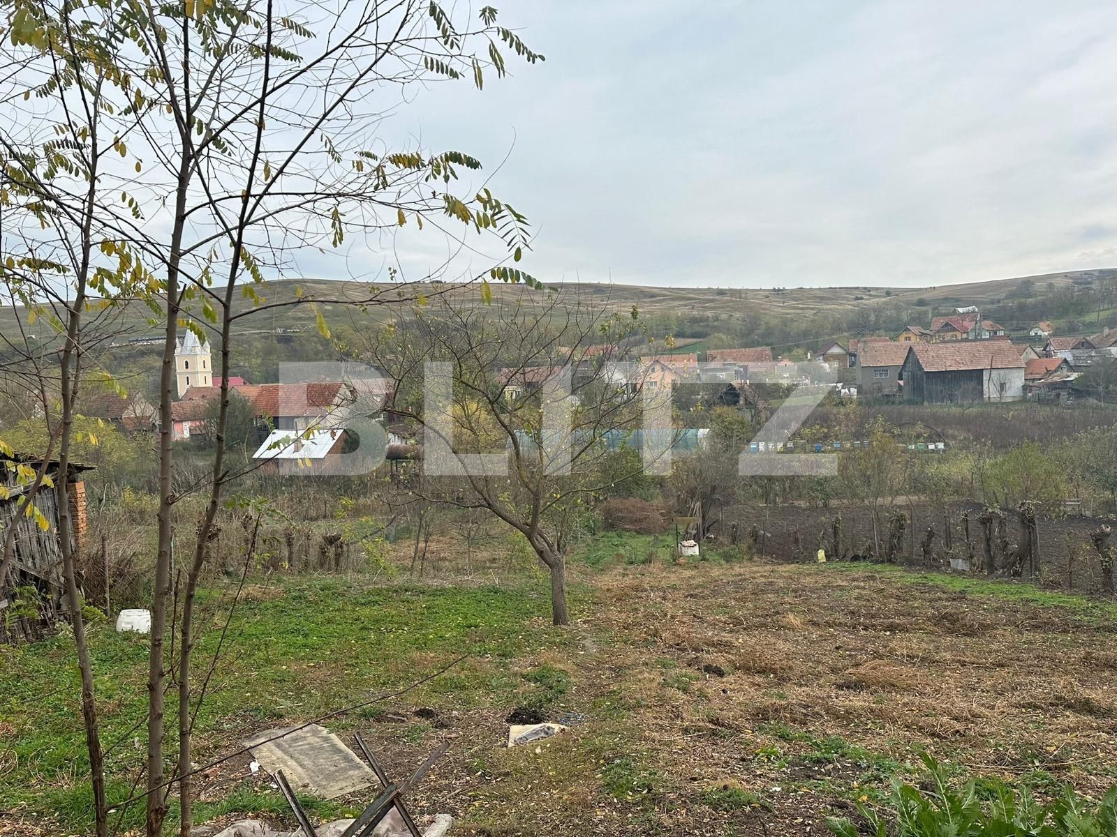 Casa de vânzare 4 camere  Exterior Est - 129883CV | BLITZ Alba Iulia | Poza5