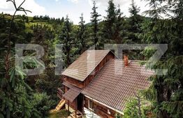 Cabana  8 camere, 450 mp, teren, 2200 mp, zona Garda de Sus