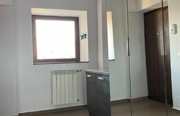 Apartament de inchiriat 1 camera, Centru