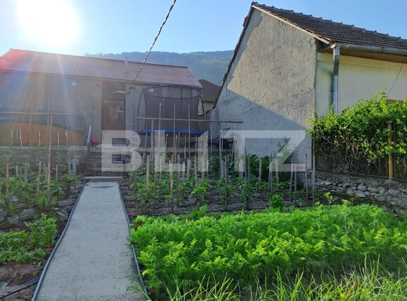 Casa de vânzare 6 camere Cugir - 130100CV | BLITZ Alba Iulia | Poza18