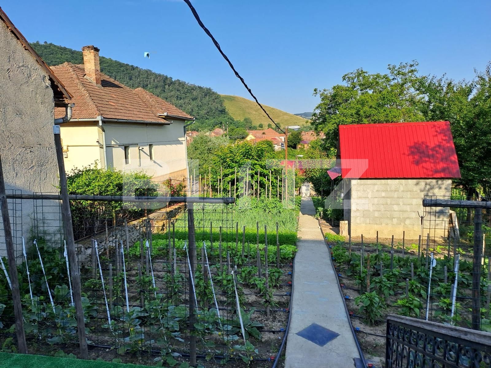 Casa de vânzare 6 camere Cugir - 130100CV | BLITZ Alba Iulia | Poza10