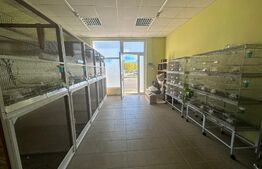 Spatiu comercial ultracentral 44mp utili, 60mp teren