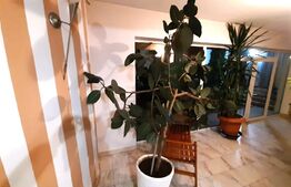 Casa 4 camere P+1, 180 mp, parcare, zona Centrala 