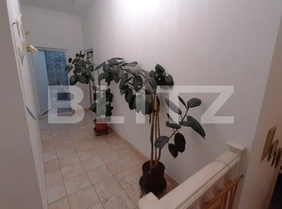 Casa de închiriat 4 camere Central - 130557CI | BLITZ Alba Iulia | Poza5