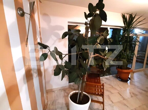 Casa de închiriat 4 camere Central - 130557CI | BLITZ Alba Iulia | Poza10