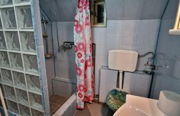 Casă individuala, 5 camere, garaj și grădină, zona Cugir